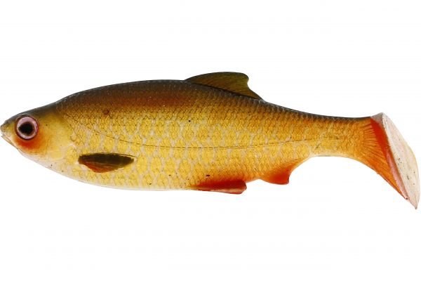 Westin Ricky The Roach (Sl) 70 Mm Lively Rudd 5-Pack