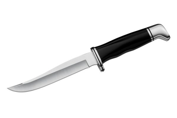 Buck 105 Pathfinder Black Knife