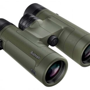 Bushnell R3 8X42 Ranger Green Binocular
