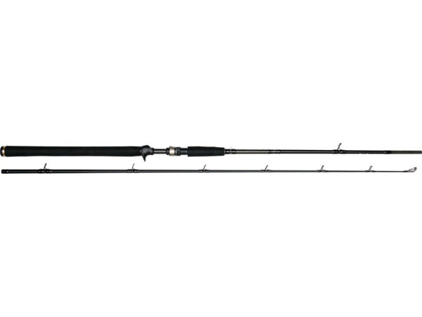 Westin W3 Jerkbait-T 2nd 6'6"/195cm XXH 40-130g 2sec